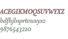 Atma Serif W05 Black Italic