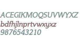 Steinem-Bold Italic V2