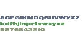 PP Neue Corp Extended Ultrabold