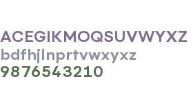 Flink Neue Test