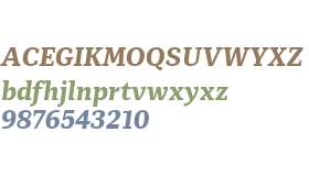 Mediator Serif Web Extra Bold Italic