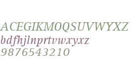 Rotis Serif W01 Italic