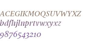 Gauthier FY W04 Medium Italic