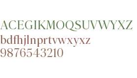 Parnaso Standard Trial Medium