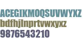 CompressorWedge Serif W00 Rg