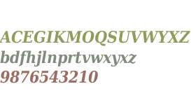 DejaVu Serif Condensed Bold Italic V1