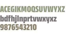 Anek Kannada Condensed ExtraBold