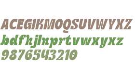 CS Behati Italic