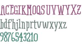 RidemyBike Serif W01 Bold
