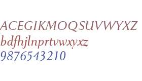 Pompei New W00 Light Italic