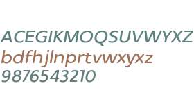 Archopada Rounded Oblique Med