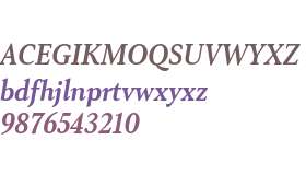 Senlot Serif Norm ExBold Italic