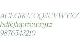 PP Pangaia Ultralight Italic