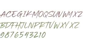 Beach Vibes Personal Use Only