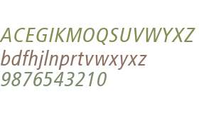 TransitWeb-Italic W03 Regular