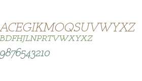 Register Serif BTN SC Oblique