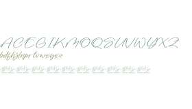 Chaydio Smith DEMO VERSION