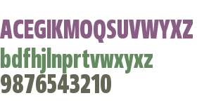 Fact Compressed Bold