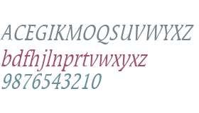 Mirror Thin Italic