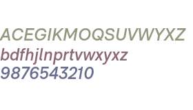 RM Neue SemiBold Italic