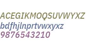IBM Plex Sans Condensed Medium Italic