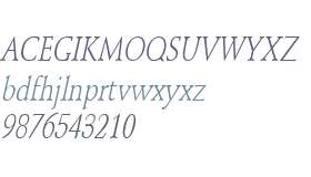 Schroeder Condensed Italic