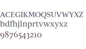 Spaziel Serif Round