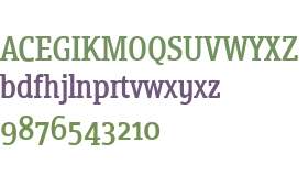 WTF Vecta W01 Serif Regular