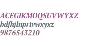 PT Serif W01 Narrow Bold Italic
