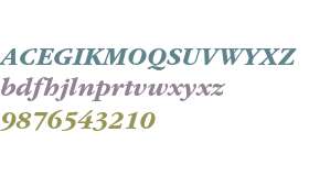 ITC Garamond Std Bold Italic