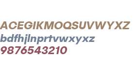 Publica Sans W00 Bold Italic