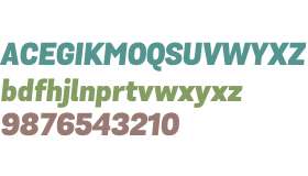 Grota Sans Alt W00 Black Italic