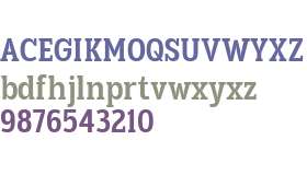 TBJ Goslap Med SemCond Display