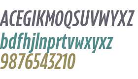 Konsole italic v1.1 TRIAL Cond SmBd