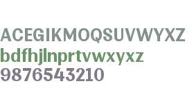Multipa Bold