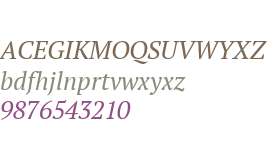 PT Serif Pro Italic W08 Rg