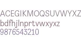 Brezel Grotesk Trial Light