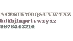 Reckham TEST No.2 Black
