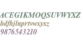 NimbusRomD Bold Italic V1