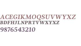 Ninfa Serif W01SC Bold Italic