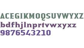 Authentic Small Serif W04 Bold