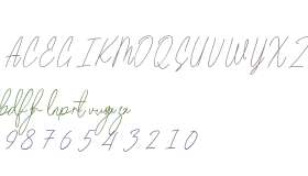 Beam Visionary Signature