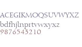 Calligraphic 810 W01 Roman