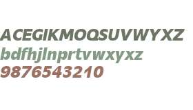 Mensa W01 Semibold Italic