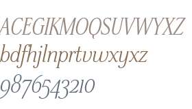 Stepp ITC Std Medium Italic