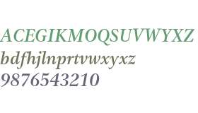 Gamma ITC Std Medium Italic