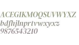 DM Serif Display Italic