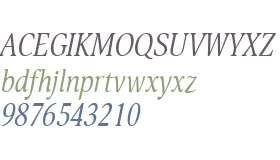 Orbi W01 Narrow Italic