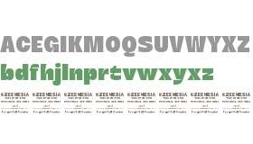 Marine Elmour Bold Personal Use Only