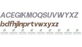 Heuvel Grotesk DEMO ExtBd Ita